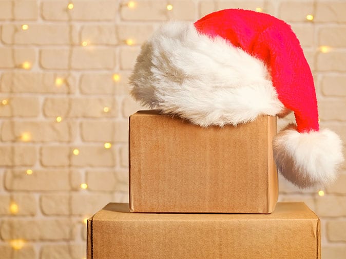 moving boxes with santa hat